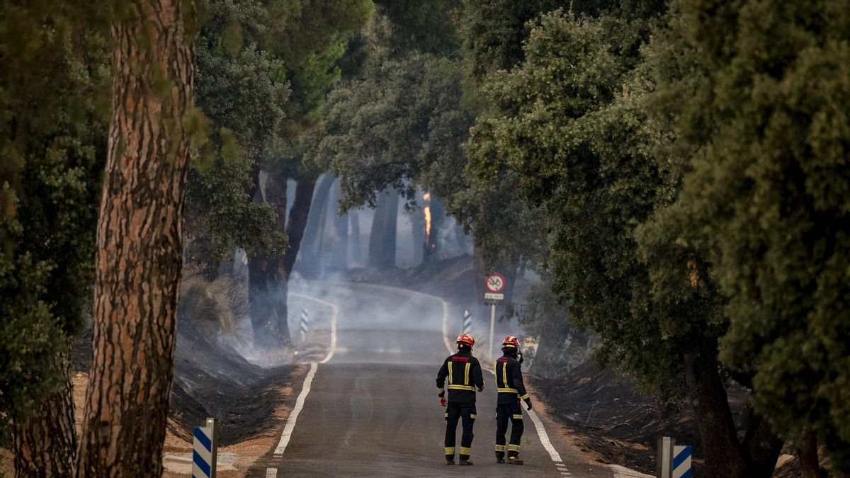 La crisis climática multiplica por 20 la probabilidad de incendios en el centro de España