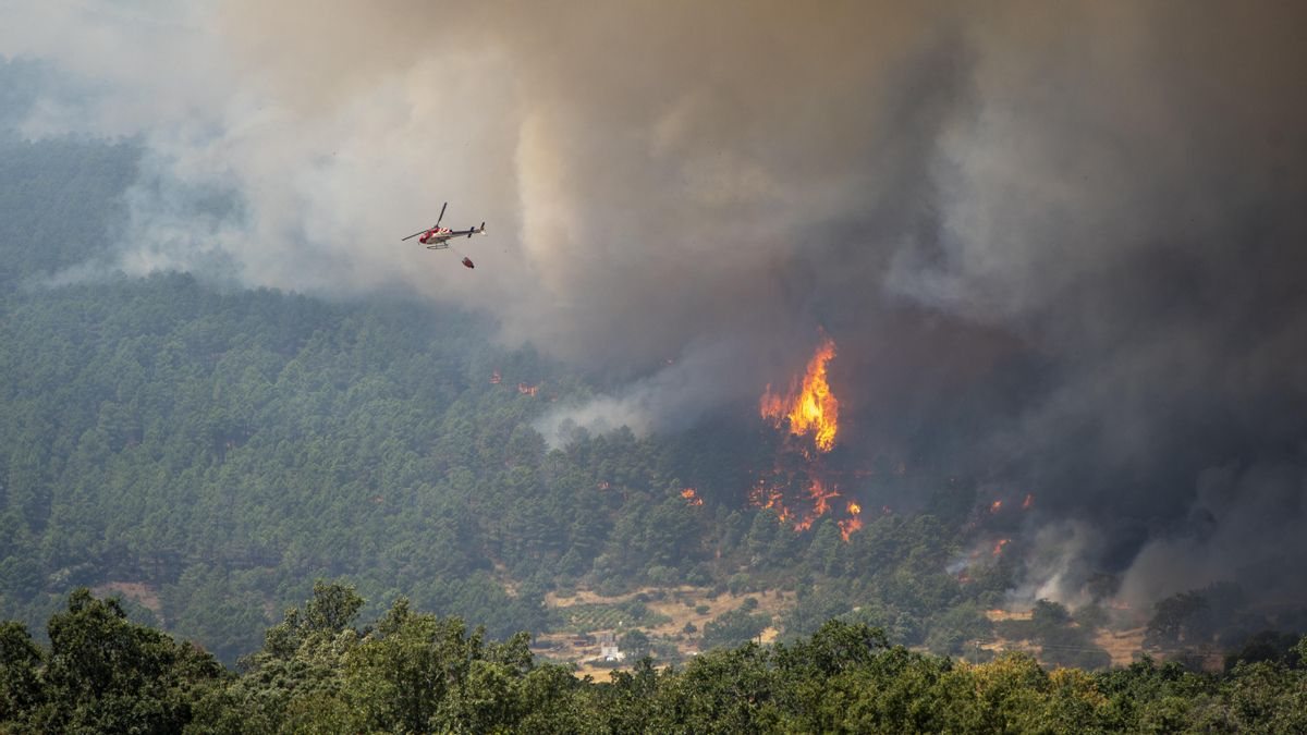 La carrera para evitar que el "tsunami" que arrasa Madrid se una al incendio de Ávila: “Hacemos todo para que no se junten”