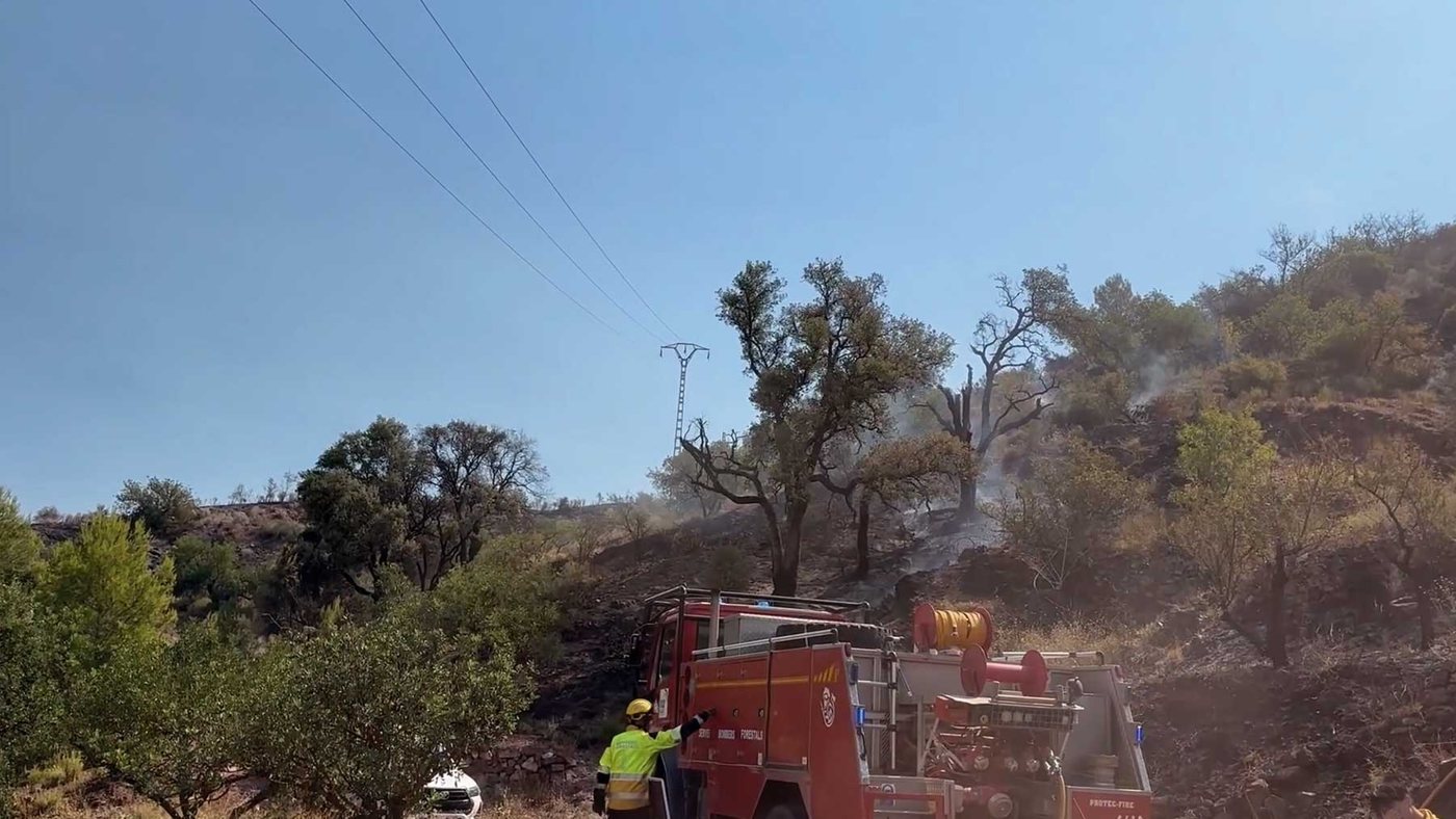Estabilizado el primer gran incendio forestal de la ola de calor en la Comunidad Valenciana con 181 hectáreas quemadas