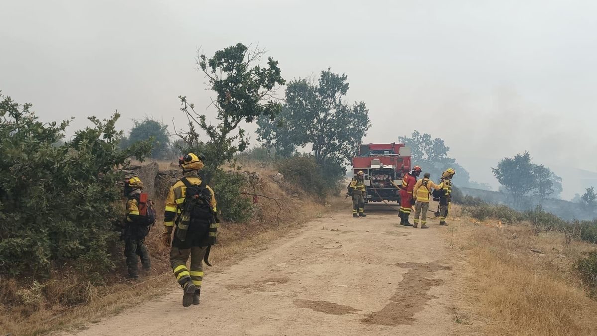 El incendio de La Mierla arrasa 13.000 hectáreas y obliga a evacuar una veintena de pueblos en Guadalajara
