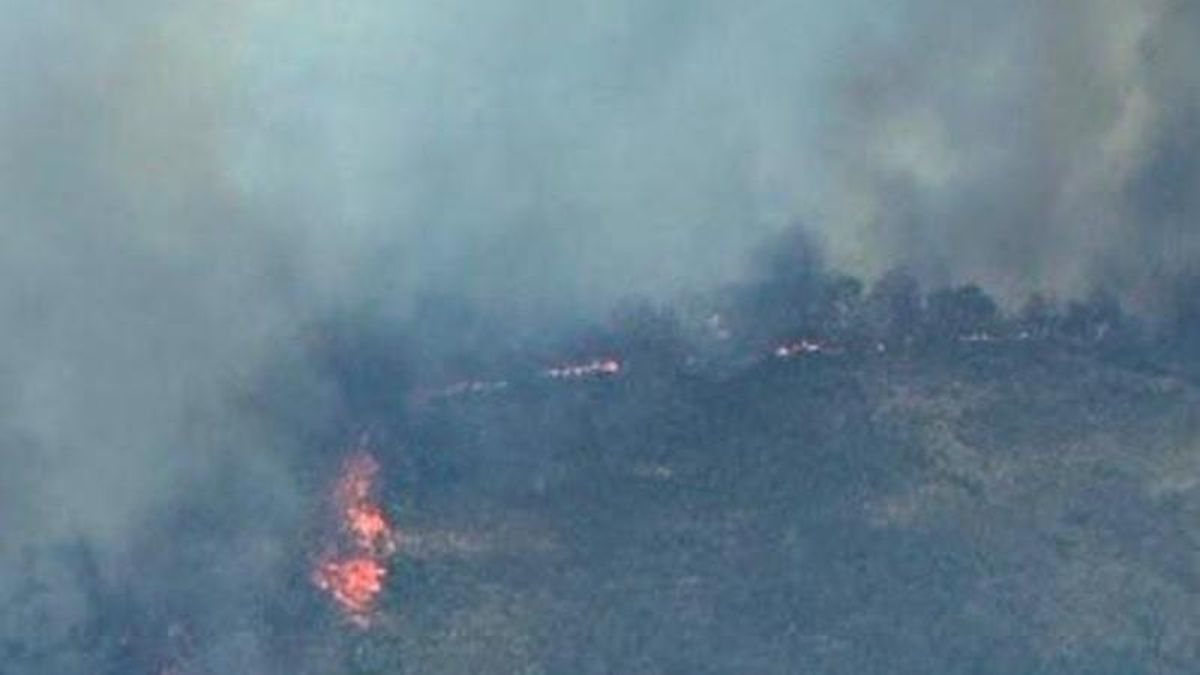 Un camión en llamas provoca un incendio forestal y desalojos en Cáceres